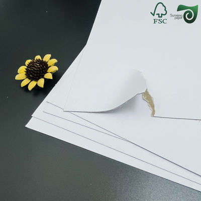FSC 1.5mm 2mm Laminated Rigid Paper Board With One White Face Sized 1m By 1.3m