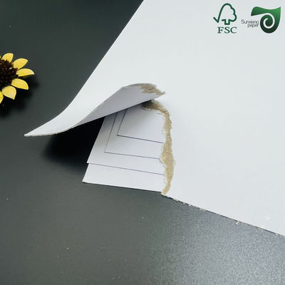 FSC 200gsm 500gsm White Duplex Board Paper Crafted From Recycled Pulp Coated Duplex Board