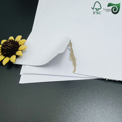 FSC C2S Double Side Glossy Art Paper Sheets Coated Duplex Board For Poster Printing