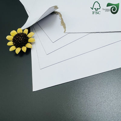 FSC 800gsm 1000gsm Double Sided Coated White Board White Core Grey Core Options