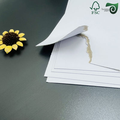 FSC 2mm Grey Cored Dual Sided White Cardstock Matte Surface Superior Ink Absorption