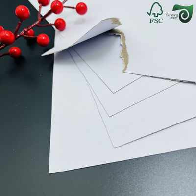FSC 135gsm 21 29.7cm Clear Printed Double Sided Gloss Digital C2S Paper Coated Duplex Board