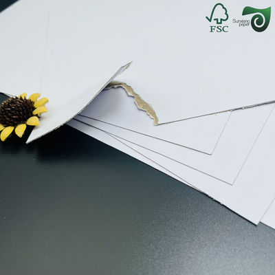1mm 820g White Cardboard FSC With Grey Middle Layer 2 Layer Laminated Carton Board 31" 43"