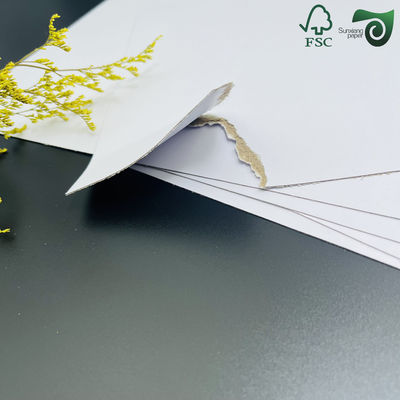 250gsm 300gsm Coated Duplex Paperboard FSC For Lightweight Packaging