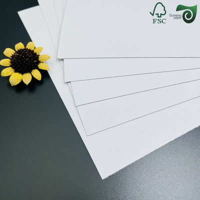 46'' 21'' High Stiffness Clay Coated Paperboard 300gsm 350gsm For Toothpaste Box Production