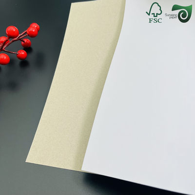 FSC Coated Duplex Board 100 400μM Recycled Waterproof Double Sided Coated Stone Paper