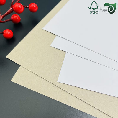 FSC 300gsm 450gsm C1S Coated Duplex Board  High Stiffness  Folding Resistance