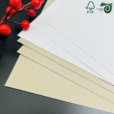 FSC Certified 300gsm 500gsm Recycled Coated Duplex Board White Top Grey Back