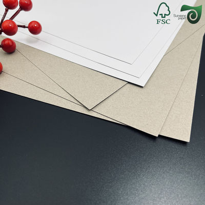 FSC 200gsm 500gsm White Duplex Board Paper Crafted From Recycled Pulp Coated Duplex Board