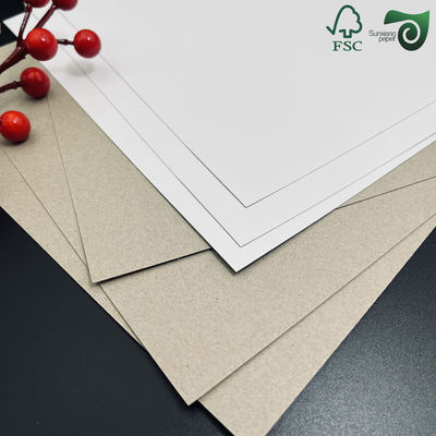FSC Clay Coated Single Side Grey Back Paperboard Grey Back Duplex Board 230gsm Jumbo Roll