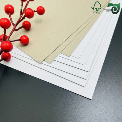 White Clay Coated Duplex Board Recycled Pulp Gray Back Board 0.3mm 2mm Thickness