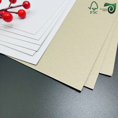FSC Clay Coated Single Side Grey Back Paperboard Grey Back Duplex Board 230gsm Jumbo Roll