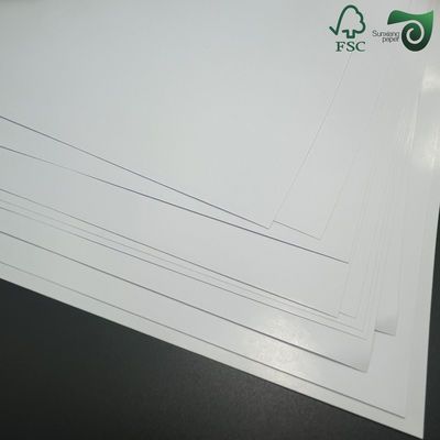 FSC C2S Glossy Paper C1S Cardboard 115gsm 130gsm Art Paper 79cm 109cm