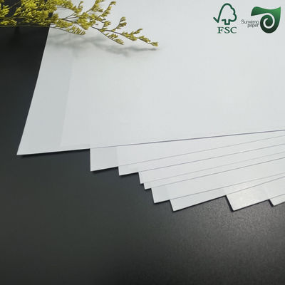 FSC Single Side PE Coated White Lunch Box Board 100% Virgin Pulp Food Packaging Paper