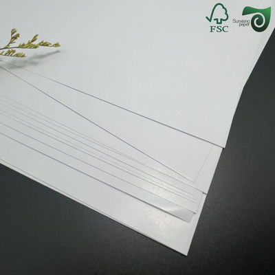 160gsm PE 15gsm Greaseproof PE Laminated Cupstock Paper Roll For Hot Beverage Cups