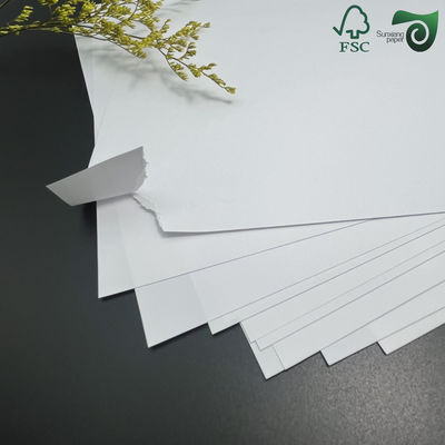 FSC C2S Glossy Paper C1S Cardboard 115gsm 130gsm Art Paper 79cm 109cm