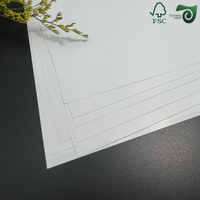FSC Single Side PE Coated White Lunch Box Board 100% Virgin Pulp Food Packaging Paper