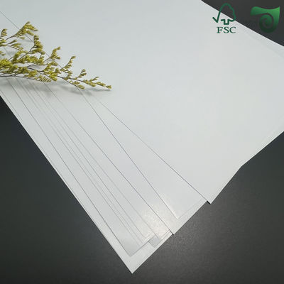 160gsm PE 15gsm Greaseproof PE Laminated Cupstock Paper Roll For Hot Beverage Cups