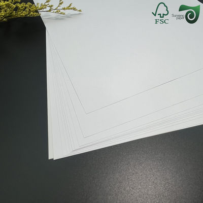 160gsm PE 15gsm Greaseproof PE Laminated Cupstock Paper Roll For Hot Beverage Cups