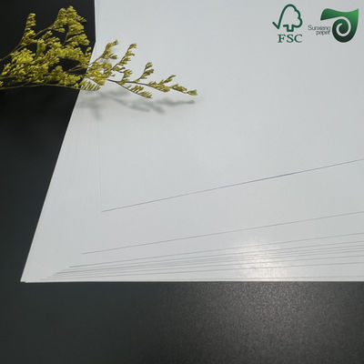 FSC 100gsm 300gsm Wood Pulp Matte Coated Paper 86cm 61cm For Offset Printing