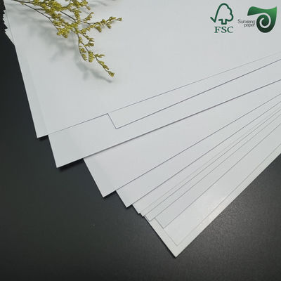 FSC 100gsm 300gsm Wood Pulp Matte Coated Paper 86cm 61cm For Offset Printing