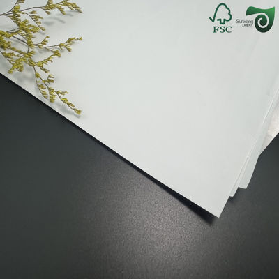 FSC 100gsm 300gsm Wood Pulp Matte Coated Paper 86cm 61cm For Offset Printing