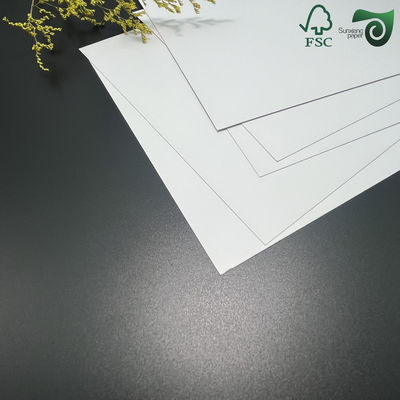 350gsm Double Side Coated Glossy Bristol Paper Board For Inkjet Offset Printing