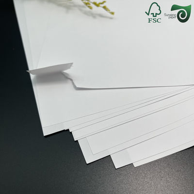 FSC 70  90  C2S Glossy Paper Coated Gloss Cover For Magazine 13''  19'' High Whiteness