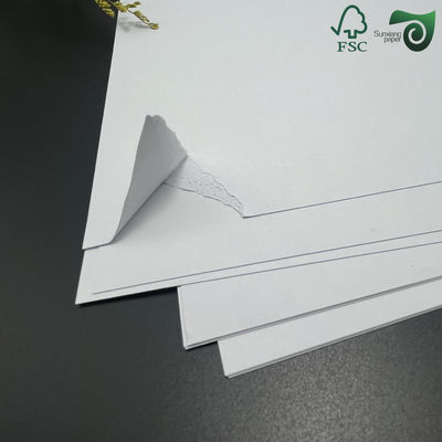 FSC Uncoated White Thick Bristol Board 350gsm 400gsm Premium Cardstock Paperboard