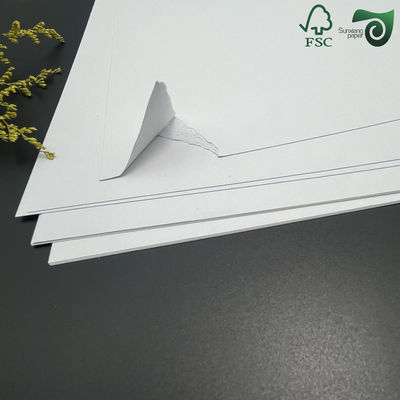 24" 500ft CAD Plotter Inkjet Bond Paper Roll Tailored For Garment Industry