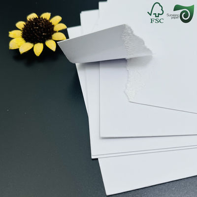 FSC Premium Bond Paper Roll 80gsm Engineering Plotter Paper 24" 36" For HP Inkjet Printers