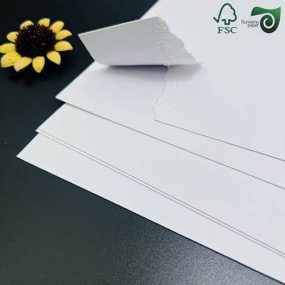 FSC 200gsm Bristol Board Paper High Folding Performance For Handicrafts Printing