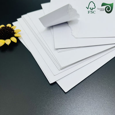 80gsm 100gsm Uncoated Natural White Offset Printing Book Paper 841mm 594mm