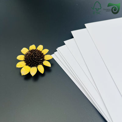 60 gm 83 gm Durchsichtige Papierrollen für Kinder Zeichnung Breite 50 m Länge FSC