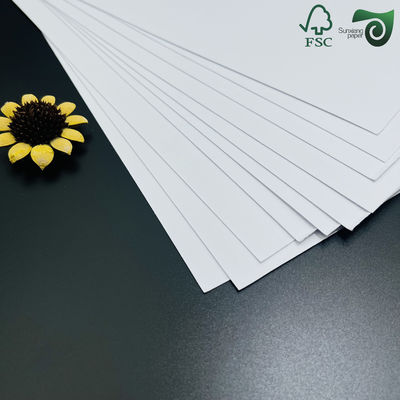 35PT 40PT Uncoated Cardboard Natural White Absorbent Pulpboard For Coaster Making