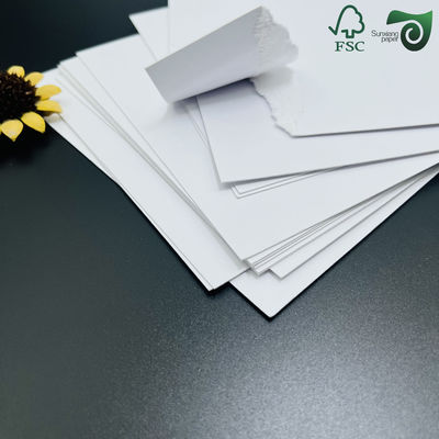 610mm 620mm Width Plotter Paper Roll For CAD Engineering Paper CAD Plotter Paper FSC