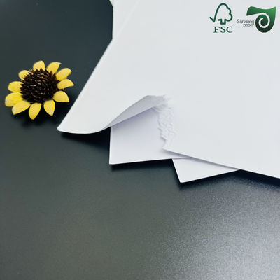 35PT 40PT Uncoated Cardboard Natural White Absorbent Pulpboard For Coaster Making