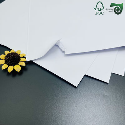 Virgin Wood Pulp High Bulky Book Paper 65g 70g 75g In Sheet Or In Reels Cardboard FSC