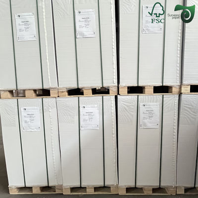 FSC 300gsm 350gsm 400gsm White PE Coated C1S Paper For Food Packaging Boxes