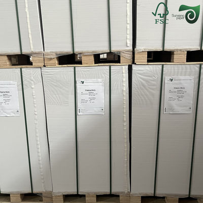 300gsm FSC Single Sided Coated CardBoard C1S High Fold Strength For Food Packaging