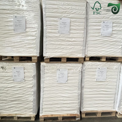 FSC 24 Inch 300 Feet 200gsm 260gsm Glossy RC  CC Photo Paper Roll Cast Coated