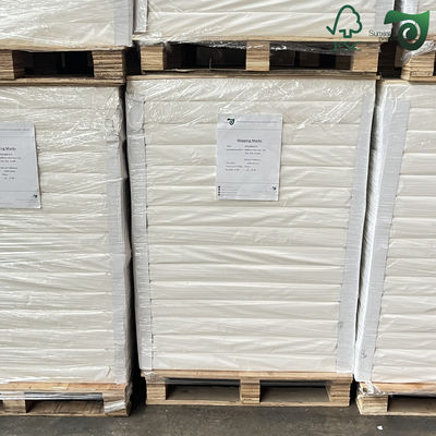 FSC 180gsm Plastic Free Water Based Coated Bakery Paper For Cake Baking Food Packaging