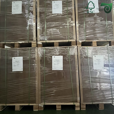 Sunxiang 350gsm Brown Kraft Board Is Engineered For Direct Contact Food Packaging