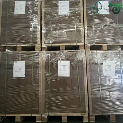 300gsm High Rigidity White Top Kraft Liner Board Milk Packaging SunXiang PAPER