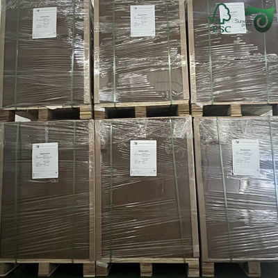 FSC 250G 300G High Bulk Virgin Kraft Paper For Paper Salad Bowls