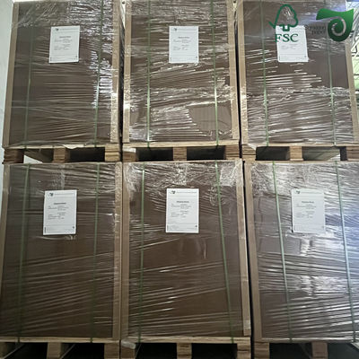 FSC 250gsm 450gsm Brown Food Tray Craft Paperboard For Fast Food Store