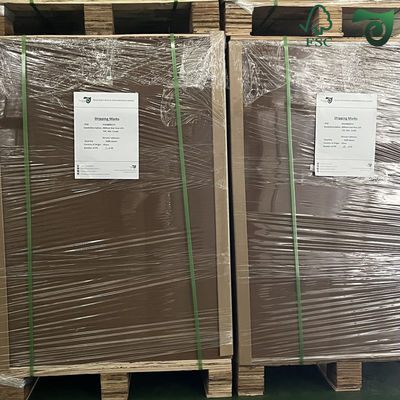 FSC 140gr 200gr White Top Kraft Back Board 70cm 100cm 115cm Rolls For Shoe Boxes