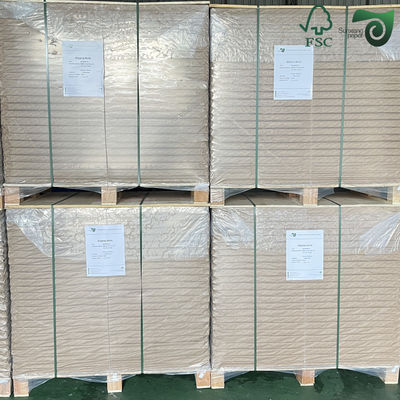 FSC 300gsm 15gsm PE Coated Kraft Paper For Food Trays  700mm 1000mm