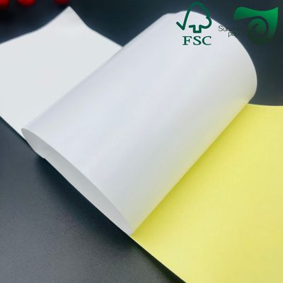 Multi Purpose FSC 200μM PET Film Paper For Export Packaging Industrial Labels