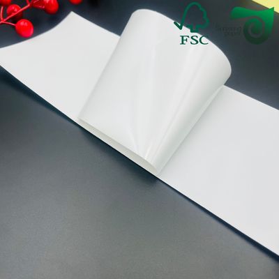 FSC 100μM 150μM A3/A4 Waterproof Matte Water Based PET Synthetic Paper Adhesive Sticker Paper
